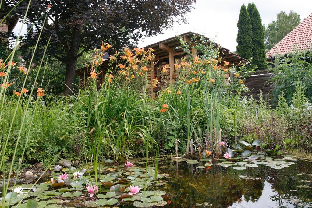 Gemuetliche Gaestezimmer In Einem Neu Sanierten Fachwerkhaus Sachsenheim Extérieur photo