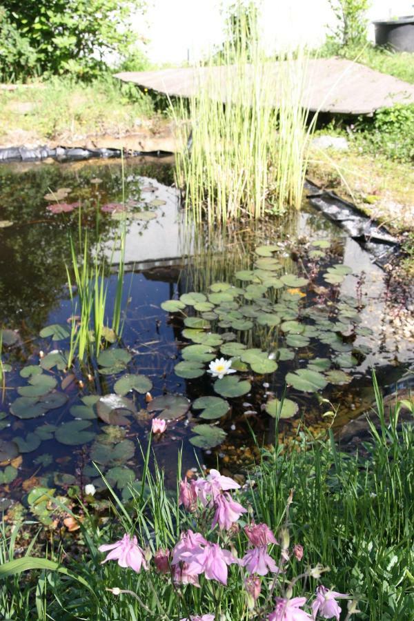 Gemuetliche Gaestezimmer In Einem Neu Sanierten Fachwerkhaus Sachsenheim Extérieur photo
